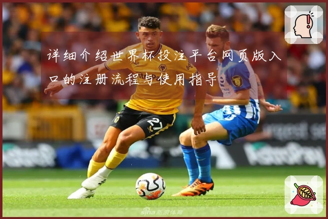 详细介绍世界杯投注平台网页版入口的注册流程与使用指导