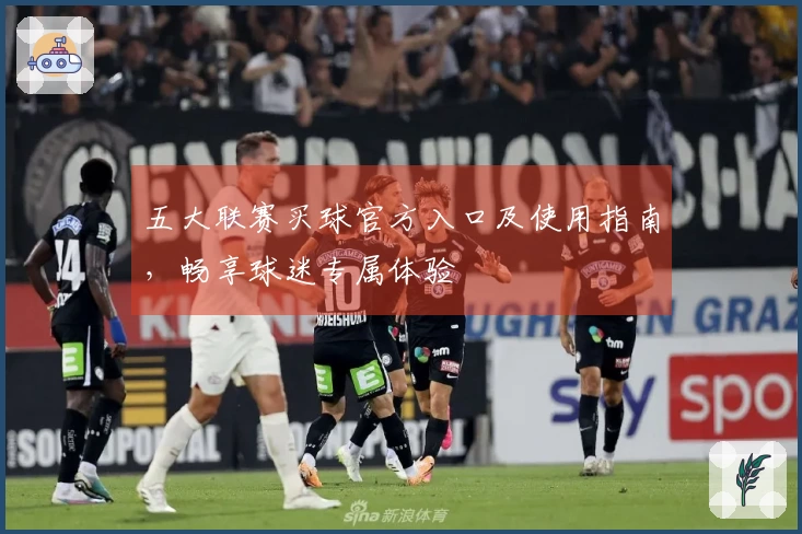 五大联赛买球官方入口及使用指南，畅享球迷专属体验