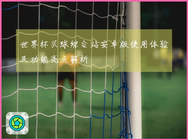 世界杯买球综合站安卓版使用体验及功能亮点解析