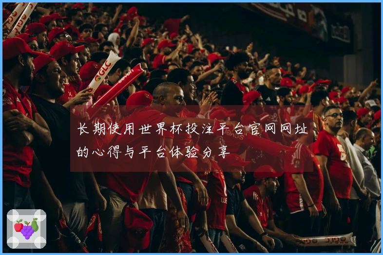 长期使用世界杯投注平台官网网址的心得与平台体验分享
