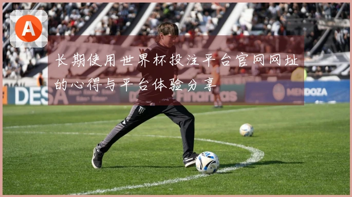 长期使用世界杯投注平台官网网址的心得与平台体验分享