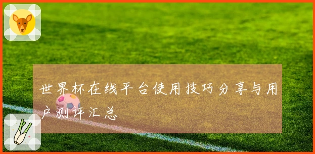 世界杯在线平台使用技巧分享与用户测评汇总