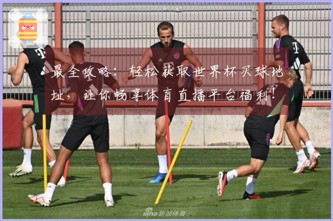 最全攻略：轻松获取世界杯买球地址，让你畅享体育直播平台福利！