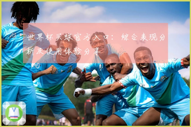 世界杯买球官方入口：综合表现分析及使用体验分享