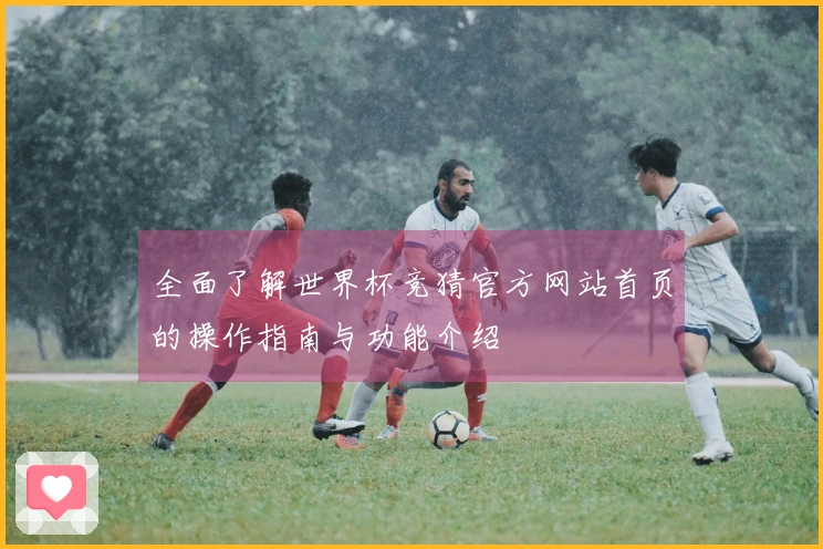 全面了解世界杯竞猜官方网站首页的操作指南与功能介绍