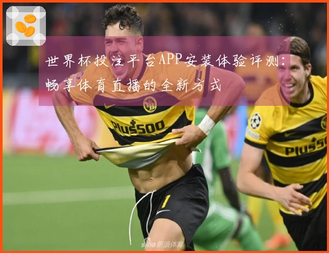 世界杯投注平台APP安装体验评测：畅享体育直播的全新方式