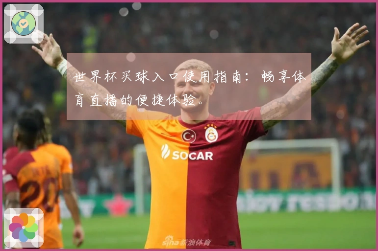 世界杯买球入口使用指南：畅享体育直播的便捷体验。