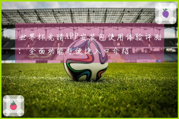 世界杯竞猜APP安装包使用体验评测：全面功能与便捷入口介绍