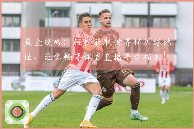最全攻略：轻松获取世界杯买球地址，让你畅享体育直播平台福利！