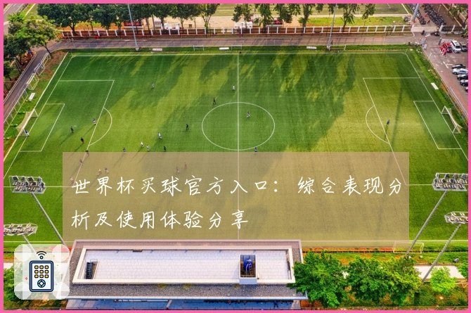 世界杯买球官方入口：综合表现分析及使用体验分享
