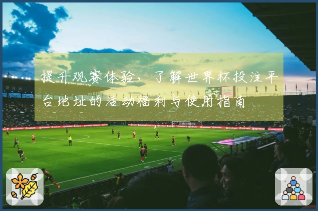 提升观赛体验，了解世界杯投注平台地址的活动福利与使用指南