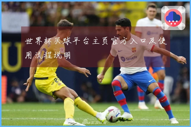 世界杯买球平台主页官方入口及使用流程说明