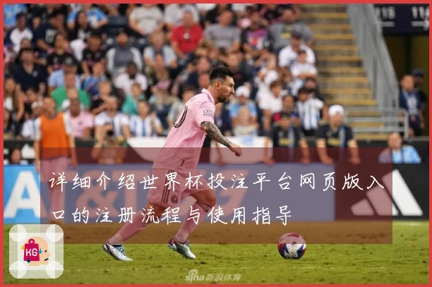 详细介绍世界杯投注平台网页版入口的注册流程与使用指导