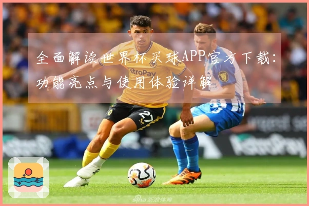 全面解读世界杯买球APP官方下载：功能亮点与使用体验详解