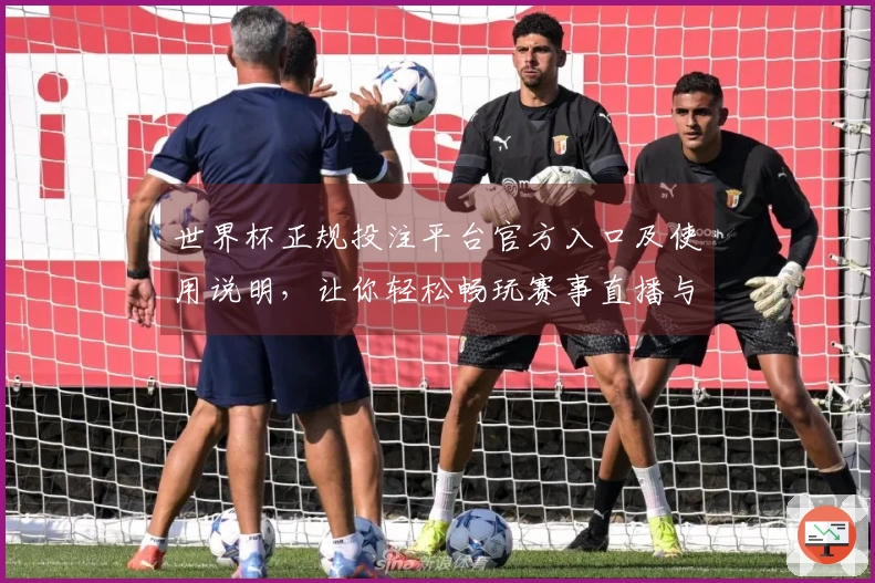 世界杯正规投注平台官方入口及使用说明，让你轻松畅玩赛事直播与信息分享