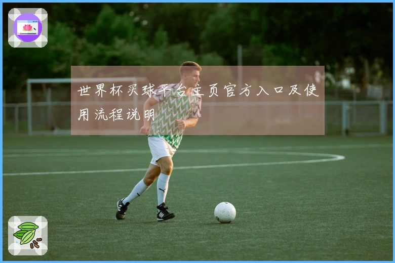 世界杯买球平台主页官方入口及使用流程说明