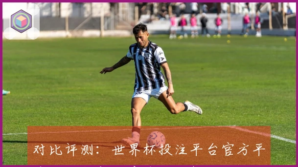 对比评测：世界杯投注平台官方平台的功能与用户体验分析