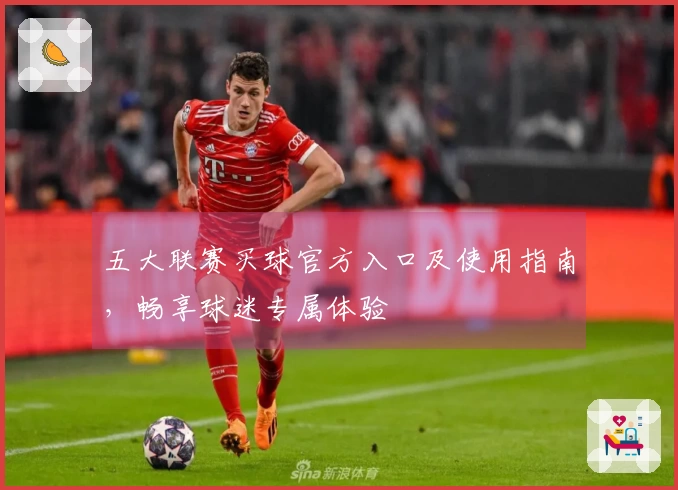 五大联赛买球官方入口及使用指南，畅享球迷专属体验