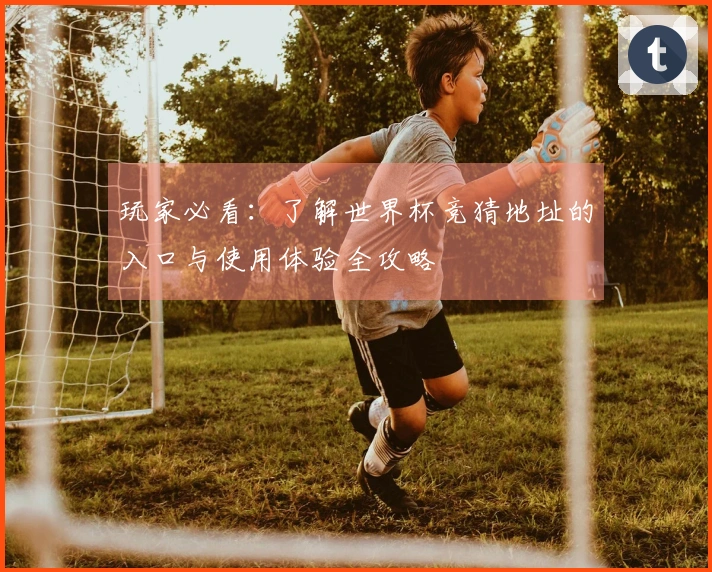 玩家必看：了解世界杯竞猜地址的入口与使用体验全攻略
