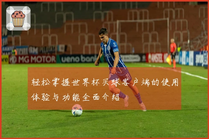 轻松掌握世界杯买球客户端的使用体验与功能全面介绍